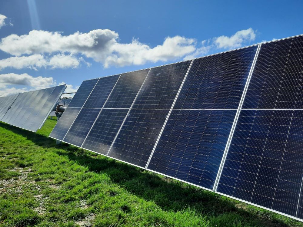 Rows of solar panels catch the sunlight at Renewable Newstead's solar farm  