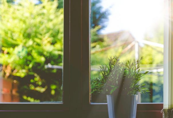 Window from inside home showing blurred clothes line and greenery outside