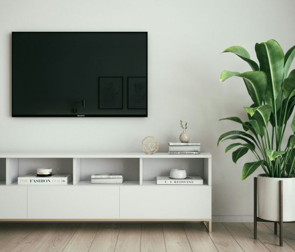 Television on a wall in a lounge room with a tv unit below and a plant beside the tv unit