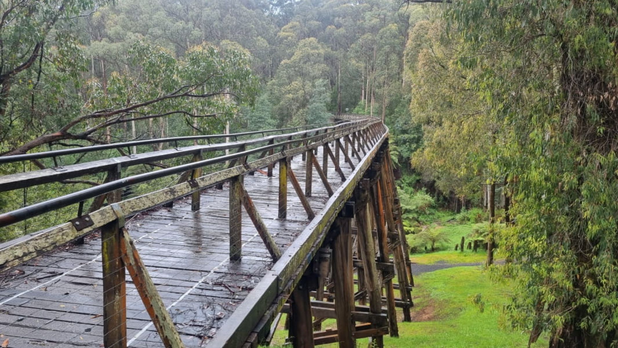 Trestle bridge in rain with forest either side 