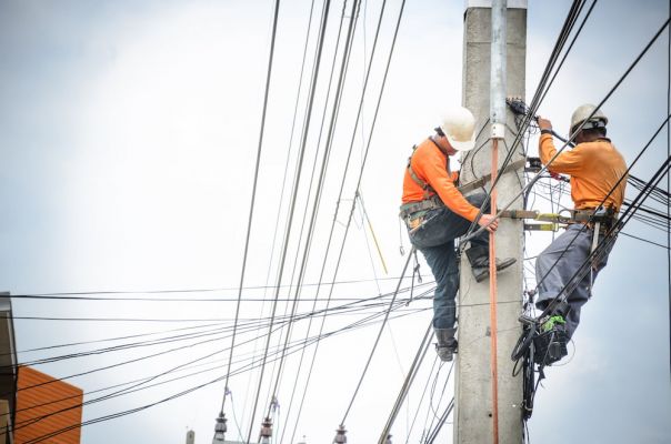 Workers inspecting electricity distribution poles and wires 