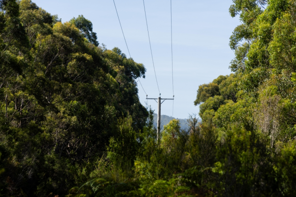 Powerlines in the bush. Power poles are a fire hazard